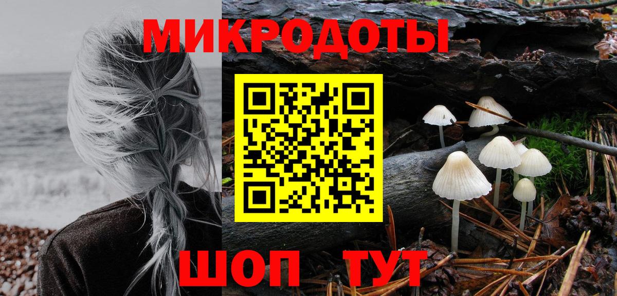 Галлюциногенные грибы MAGIC MUSHROOMS  как найти   Тында 