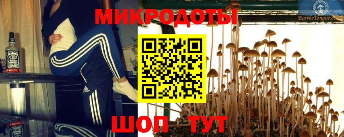 Галлюциногенные грибы MAGIC MUSHROOMS Тында
