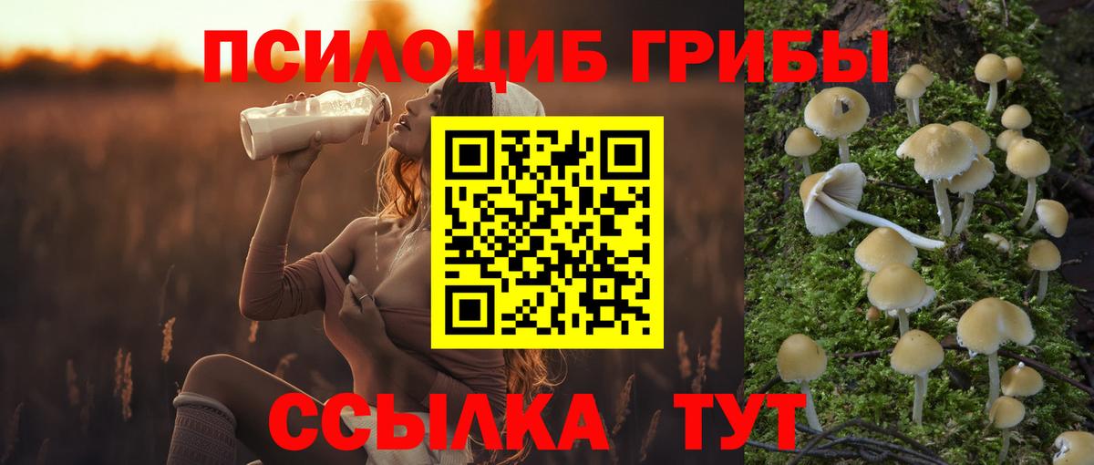 Псилоцибиновые грибы прущие грибы Тында